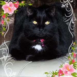 Meet your Posher, Christine